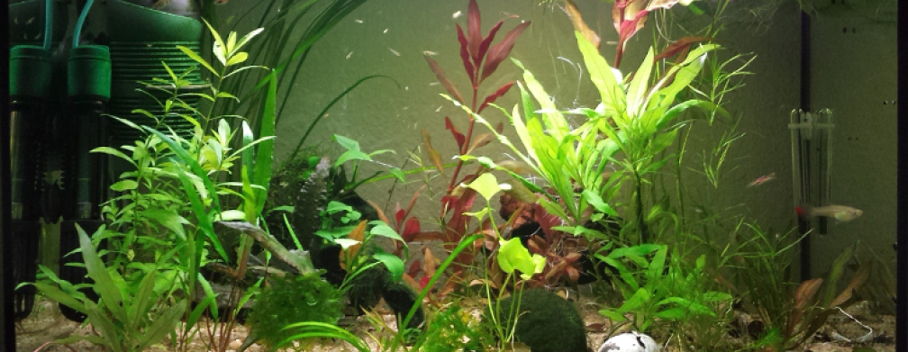 Endlers Wohnzimmer