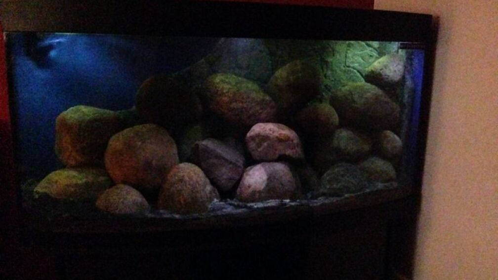 becken fertig eingerichtet und in der einlaufphase am 16.12.13