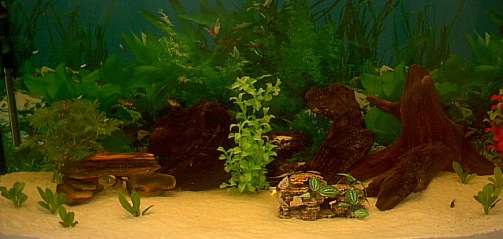Aquarium Hauptansicht von Becken 2970