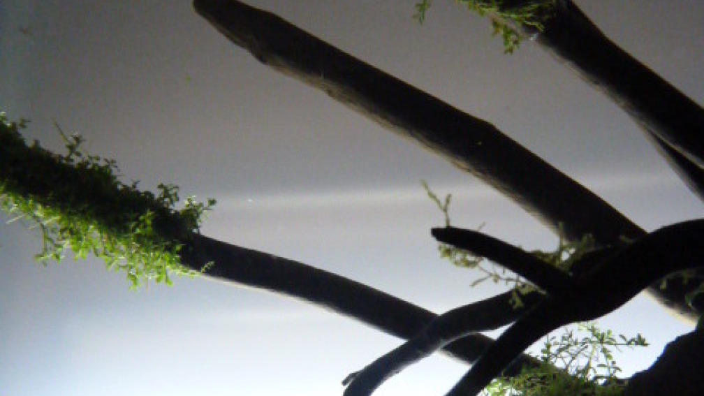 18.03.2014 18.03.2014