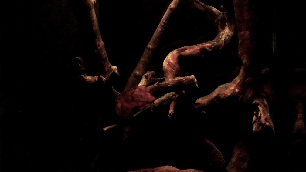 Regenwaldpfütze....