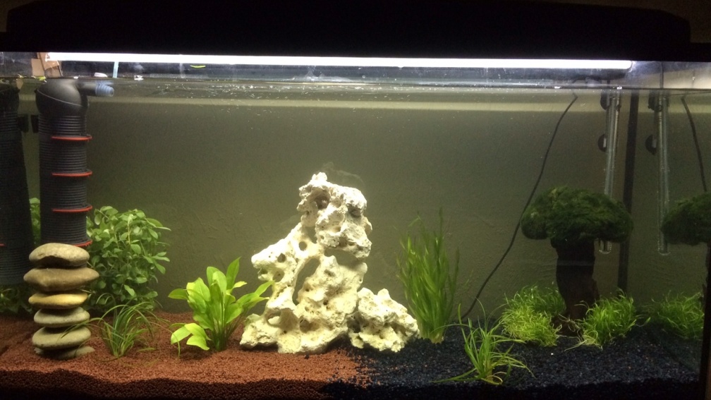 Aquarium Hauptansicht von moderne Unterwasserwelt