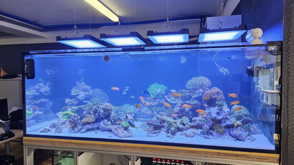 Aquarium Hauptansicht von Meerwasser