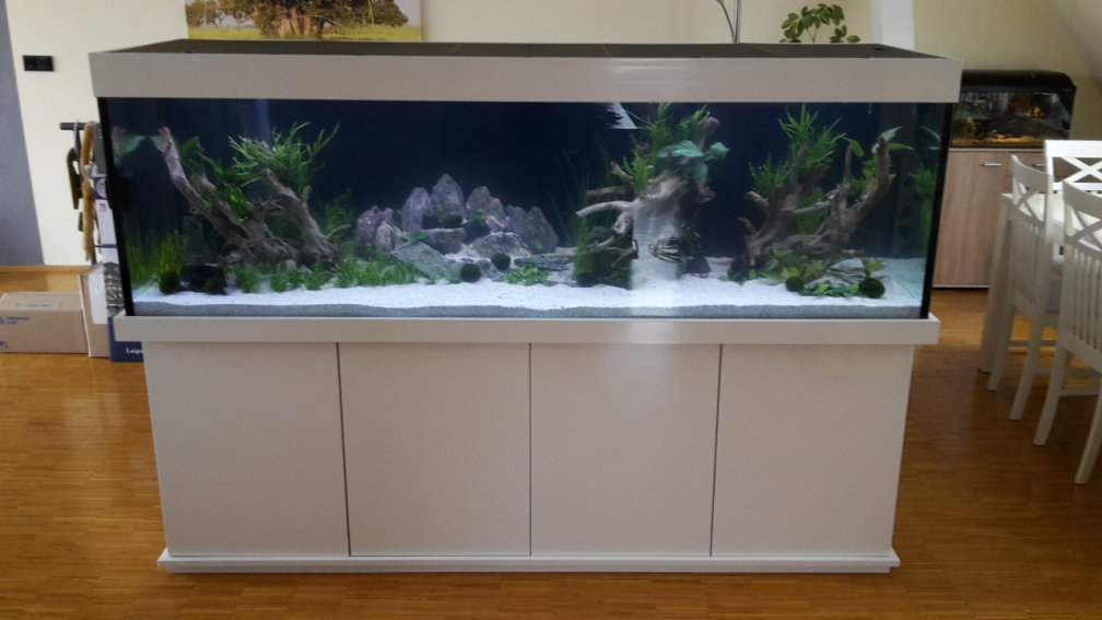 Aquarium Hauptansicht von Neues Becken