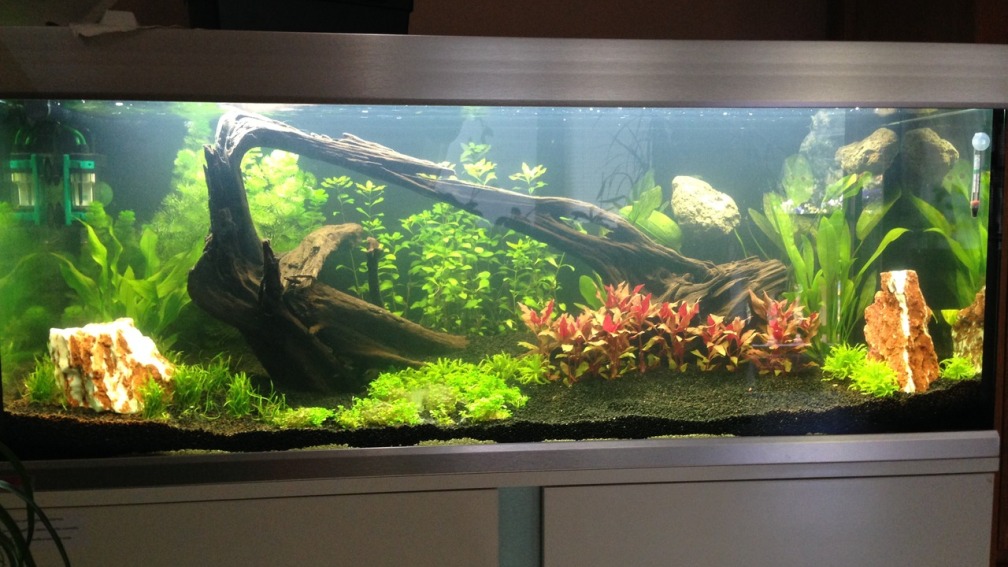 Aquarium Hauptansicht von EHEIM proxima 325