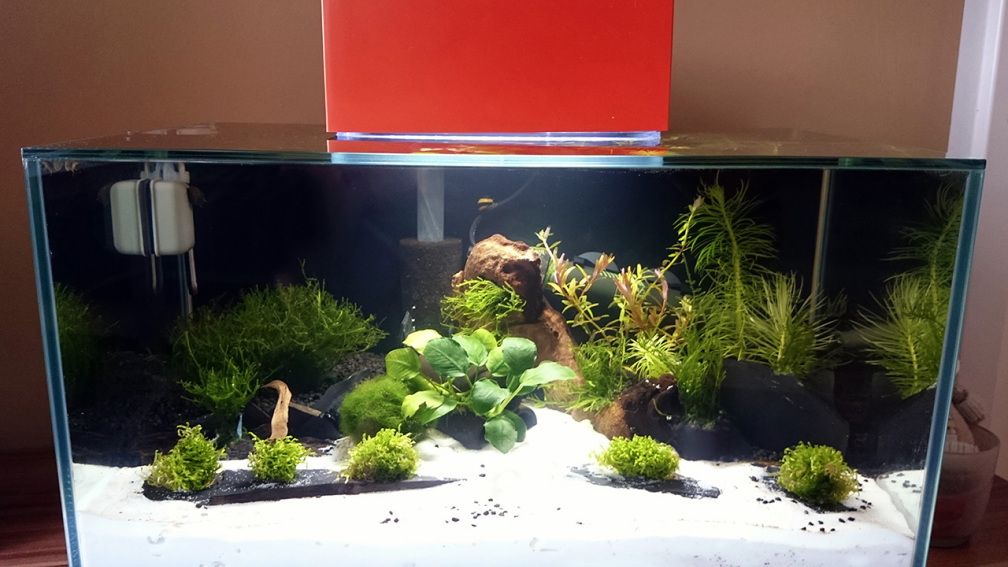 Fluval Edge 2