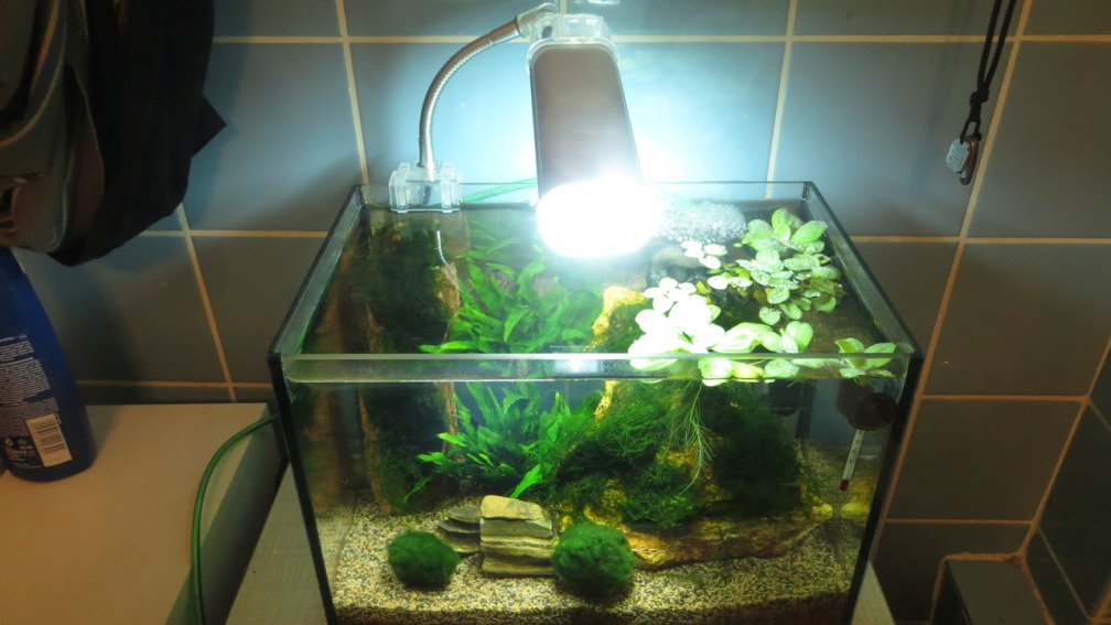 Aquarium Hauptansicht von In the depth of silence