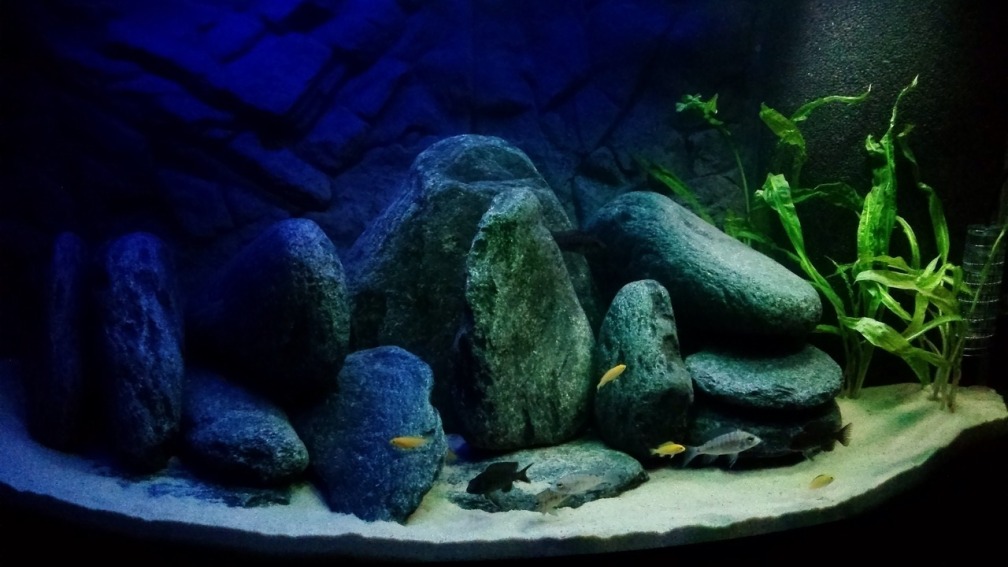 Jugendbecken in der Totalen 