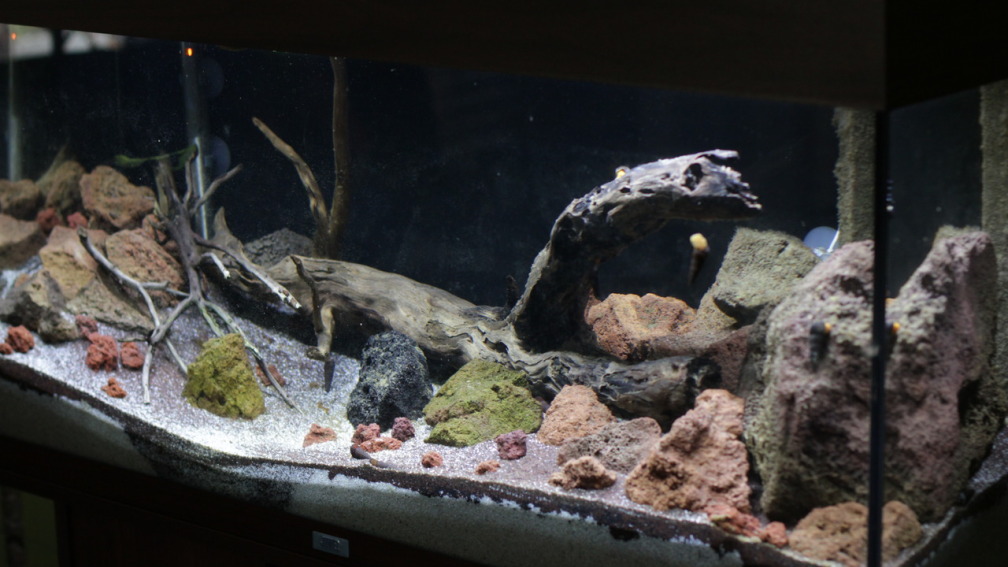 Gesamtansicht `Little Matano Lake`