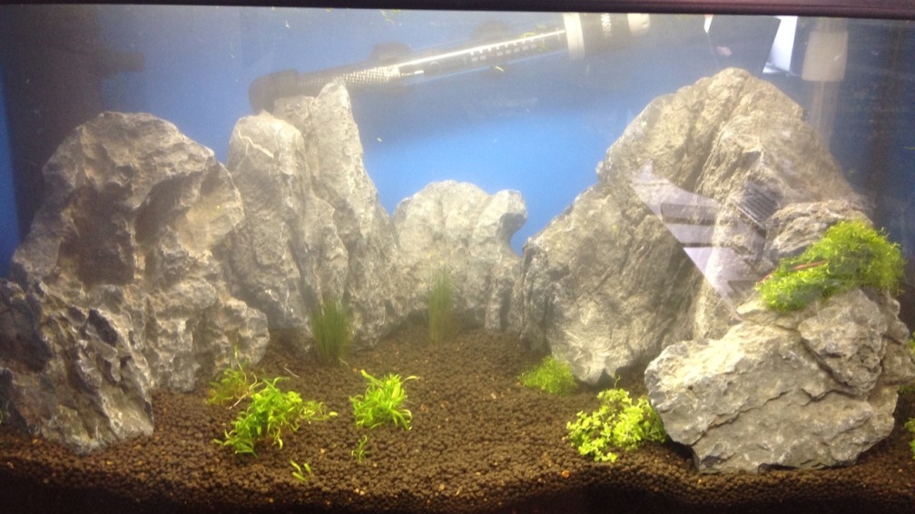 Direkt nach der Erstbefüllung