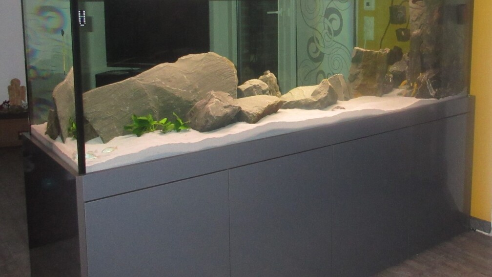 Aquarium Hauptansicht von Malawi