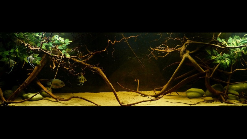 ~My-1000L-Tank~ im April 2015