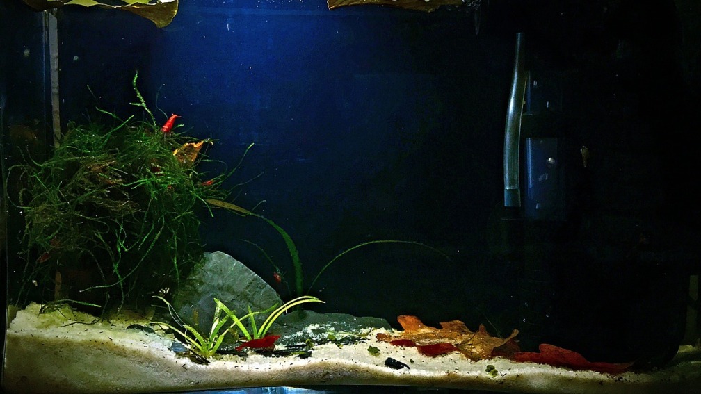 Aquarium Hauptansicht von Micro Nano
