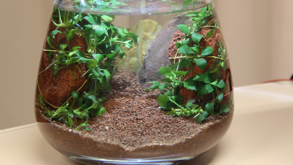 Hauptbild November 2014