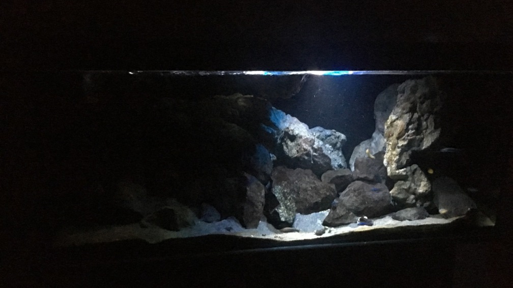 Aquarium Hauptansicht von Fade to black (aufgelöst)