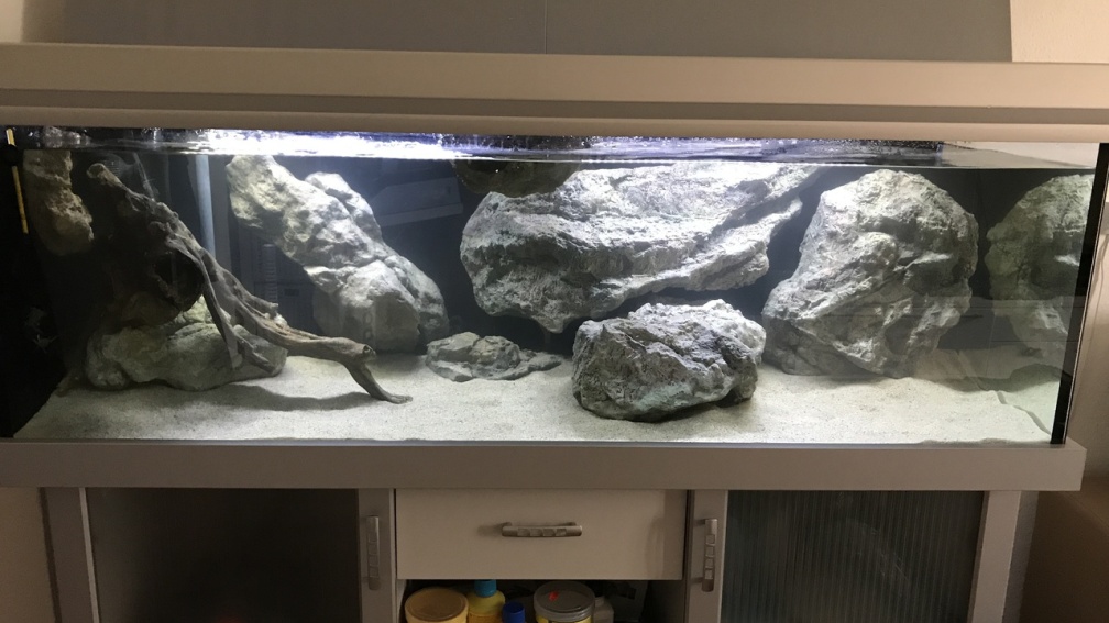 Aquarium Hauptansicht von Tanganjika 3.0