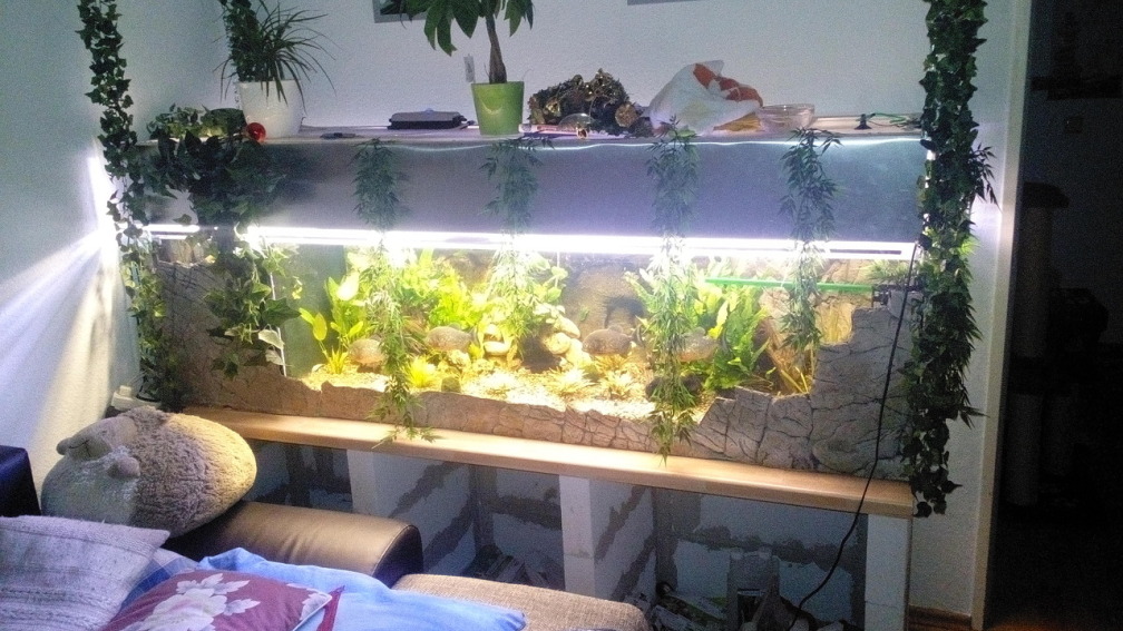 Aquarium Hauptansicht von Becken 31457