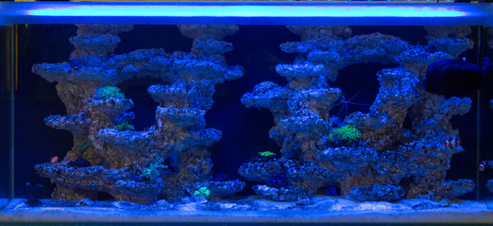 Aquarium Fluval M90 - nur mit Riffkeramik