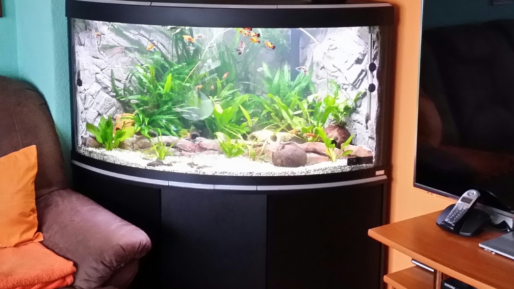 Fluval Venezia 350 neu Einrichtung