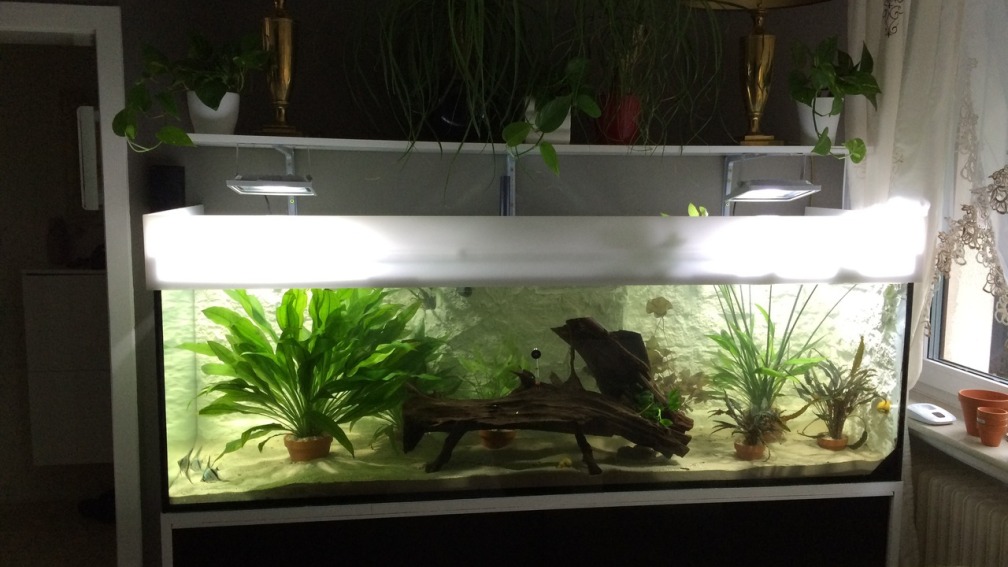 Aquarium Hauptansicht von ALTUMIA