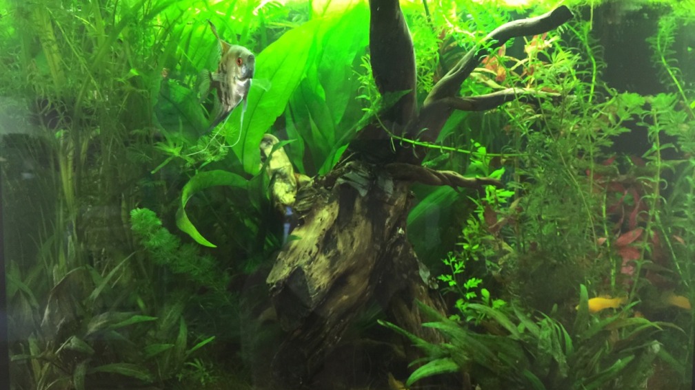 Hauptbild - Gesamtansicht