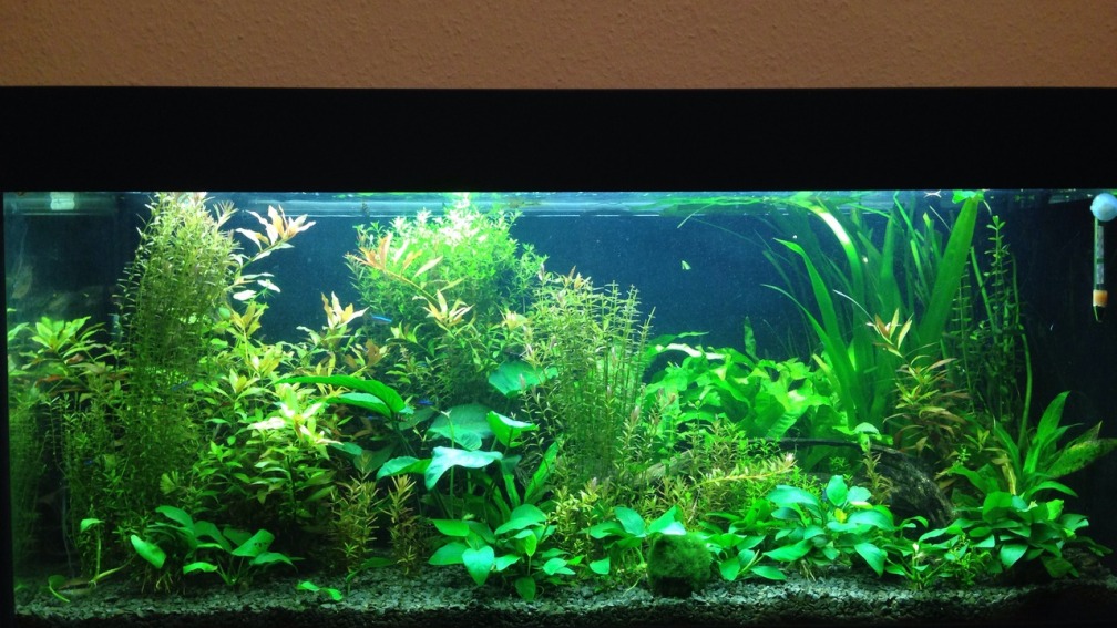 Hauptansicht von vorne