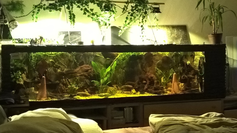 Aktuele - Hauptansicht - 900 l - 2,50 m x 0,60 m X 0,60 m