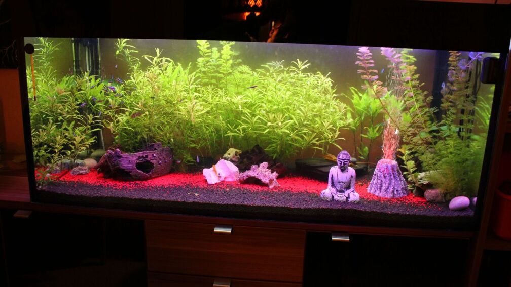 350l Geselschaftsbecken