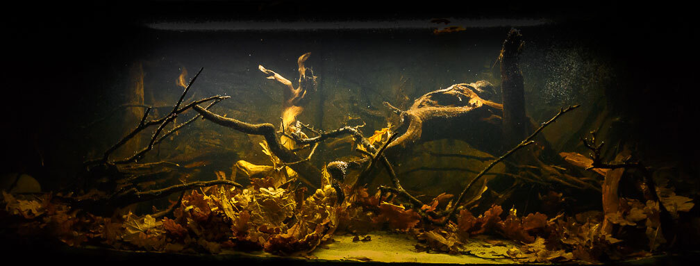 Aktuelles Bild aus 12/2016