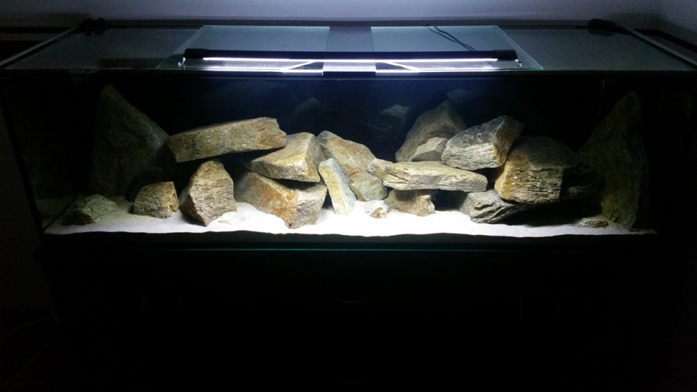 Aquarium Hauptansicht von Geröllzone Malawi See