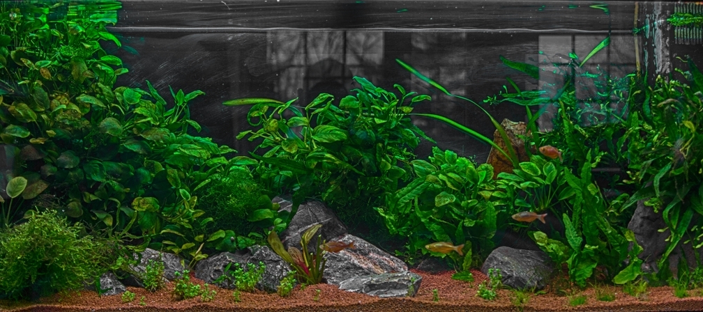 Aquarium Hauptansicht von Becken 32706