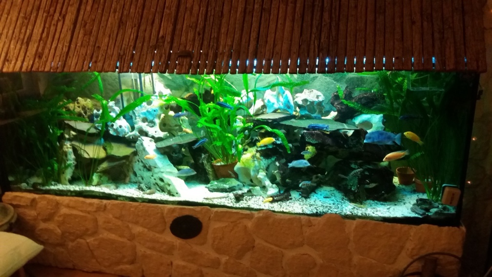 1300er Old school Aquarium 