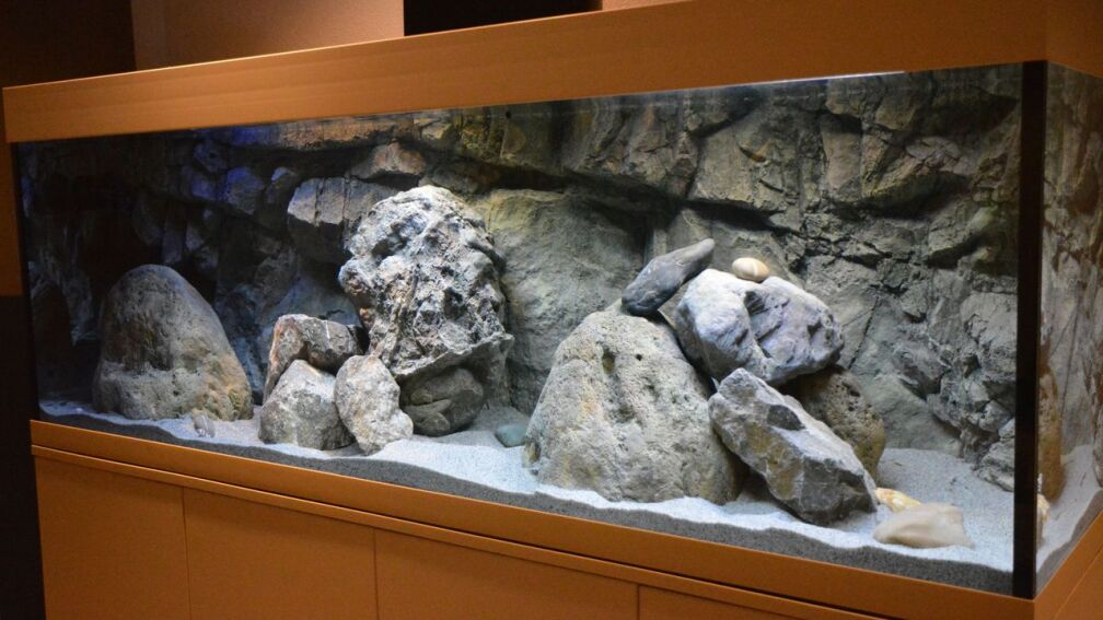 Aquarium Hauptansicht von Zizou's Malawi Cave