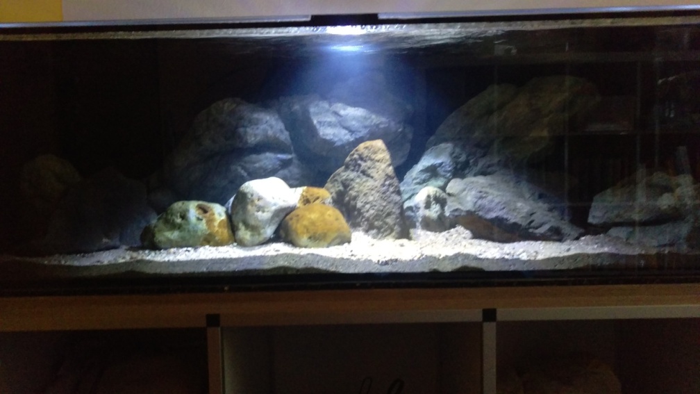 Aquarium Hauptansicht von NonMbuna by Tobi