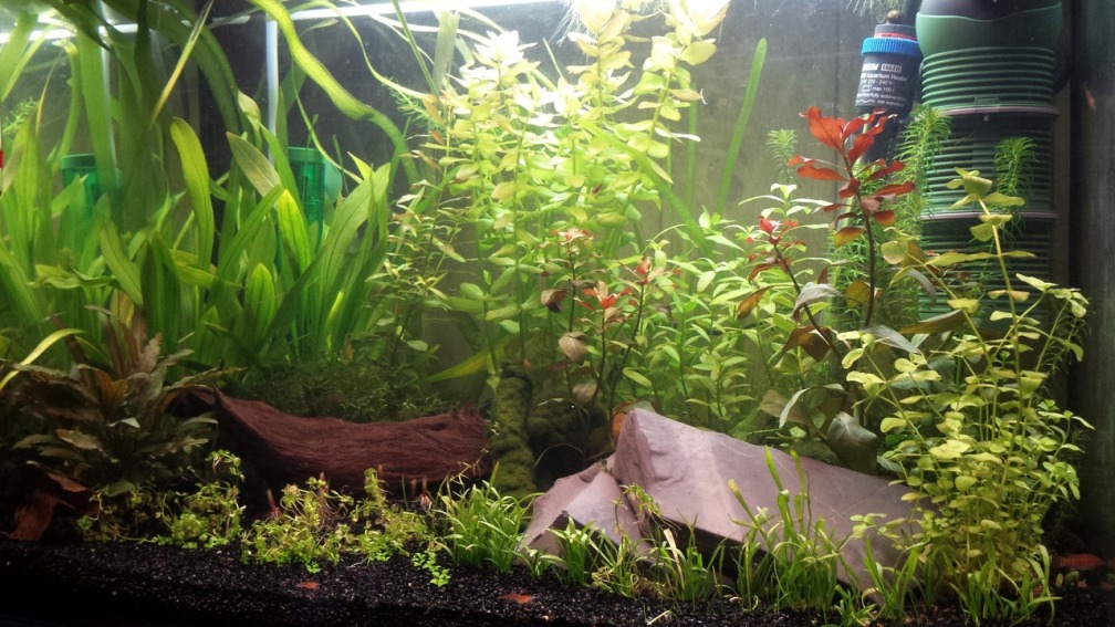 Aquarium Hauptansicht von Neuland