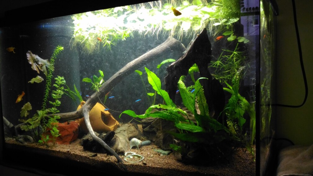 Aquarium Hauptansicht von KITA Rübchen