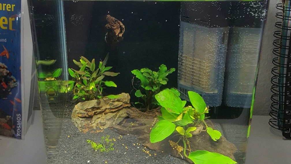 Frontansicht nach Neugestaltung