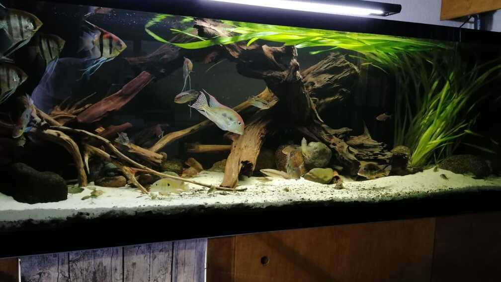 Aquarium Hauptansicht von Namenlos