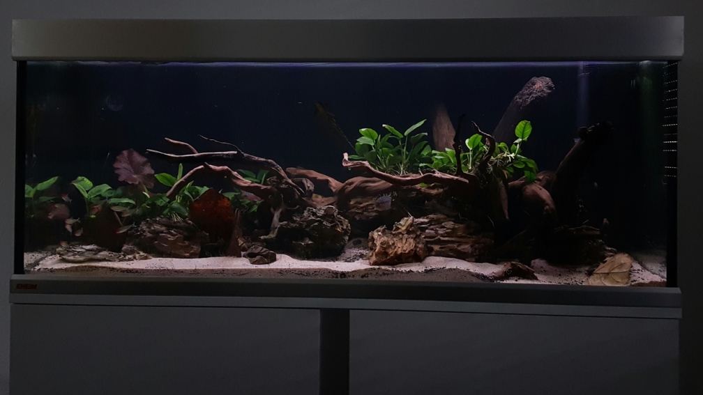 Aquarium Hauptansicht von Rio Bio