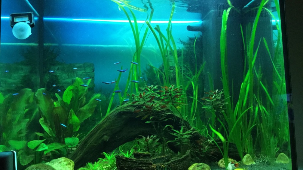 #MutterTochterProjekt