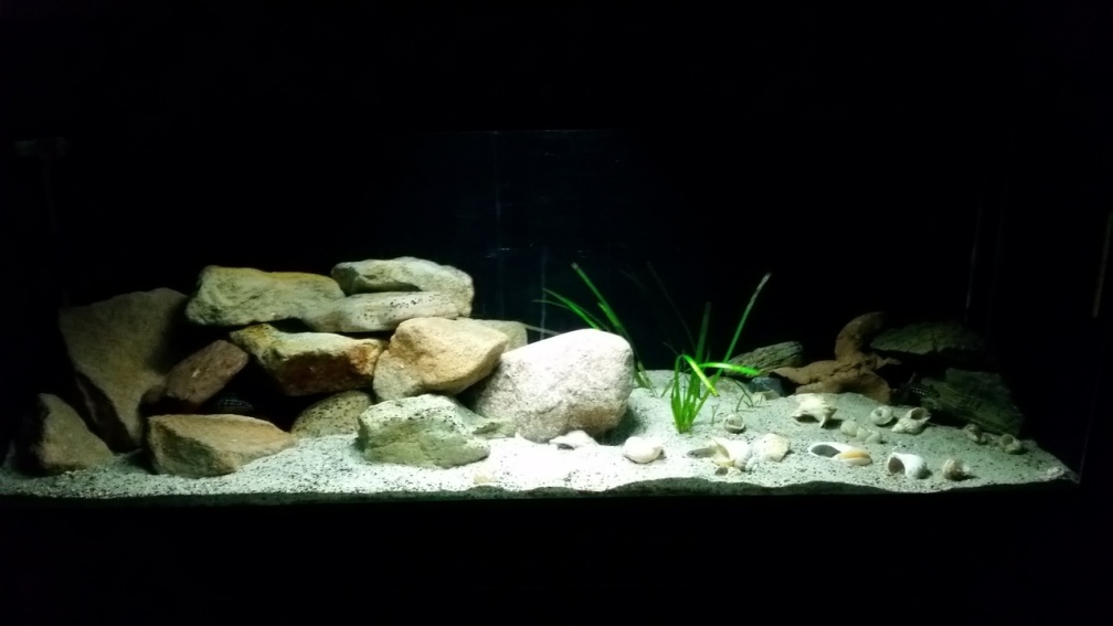 Aquarium Hauptansicht von Werk 3