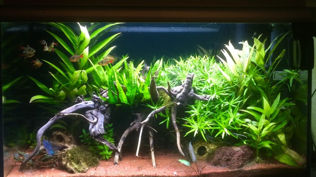 Südamarika 64 Liter