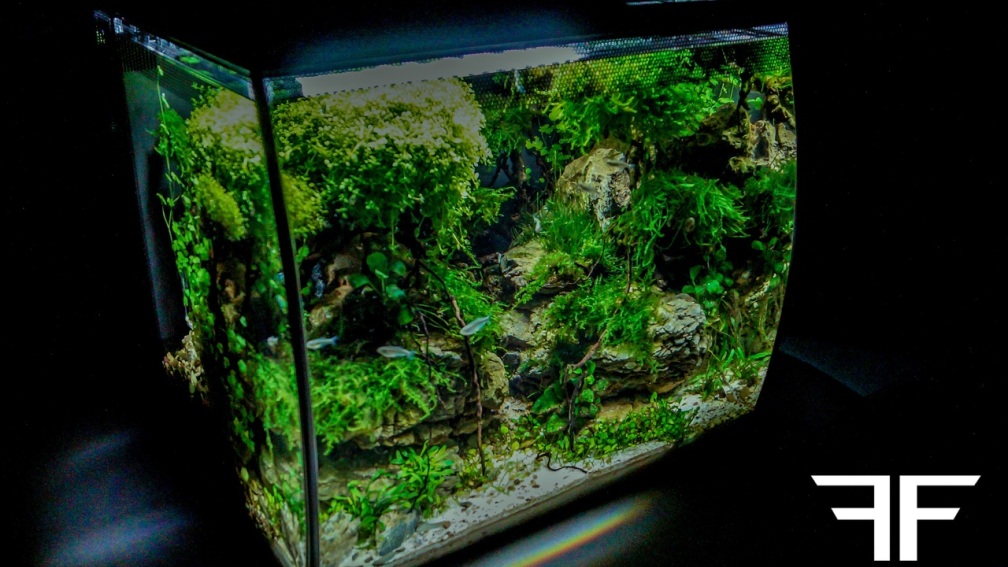 Aquarium Hauptansicht von Fangorn