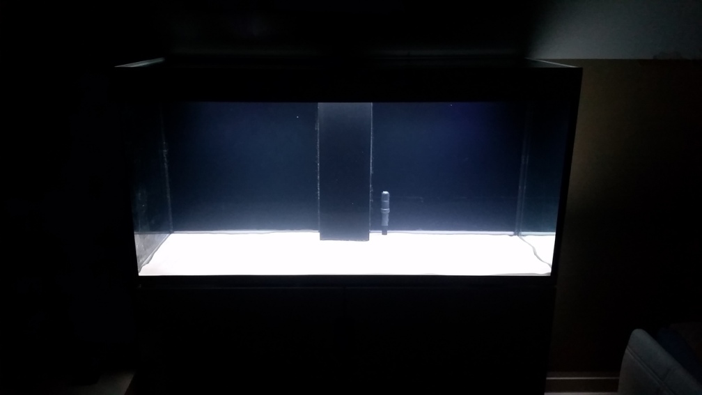 Aquarium Hauptansicht von Incpiria  400 Diskus