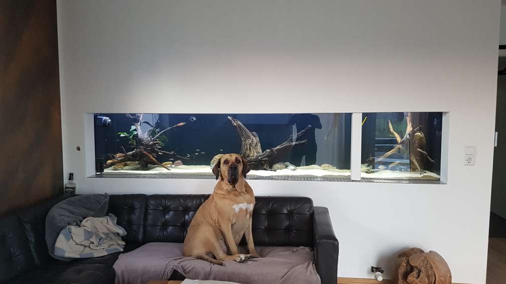 Aquarium Hauptansicht von AquaRio