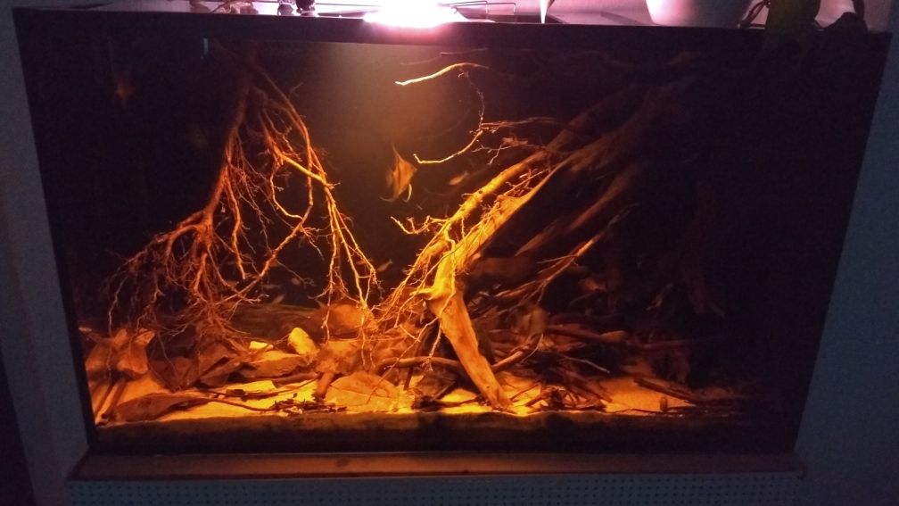 Aquarium Hauptansicht von Rio Negro - aufgelöst - nur noch als Beispiel