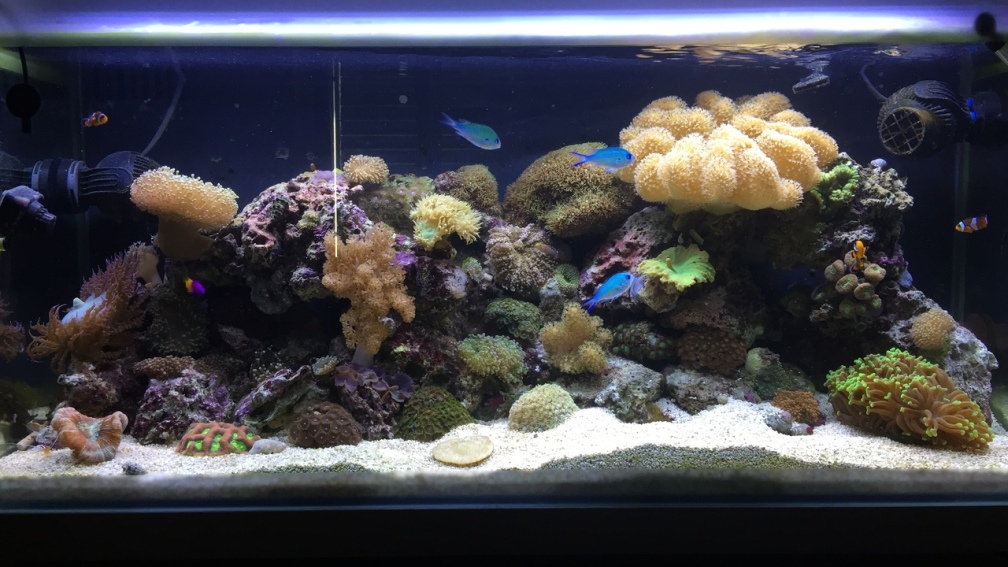 Aquarium Hauptansicht von Fluval M90