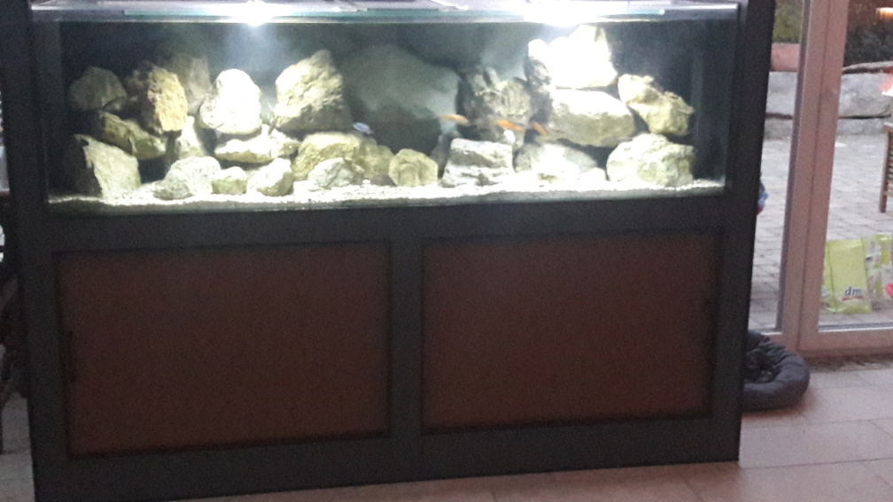 720 Liter Mbuna Becken 200x60x60