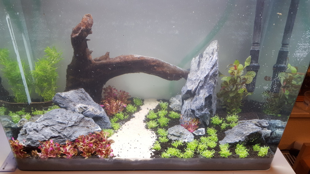 Aquarium Hauptansicht von Becken 34081