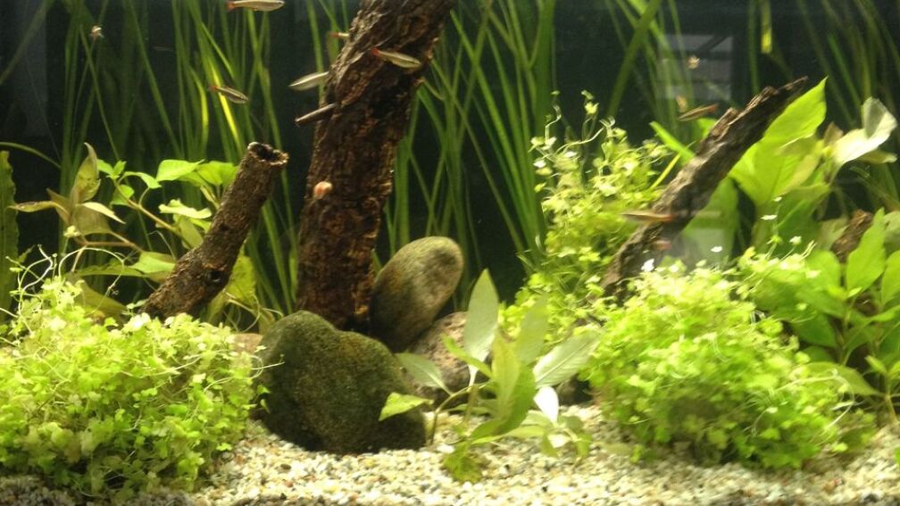 Blick von vorne 09-2017